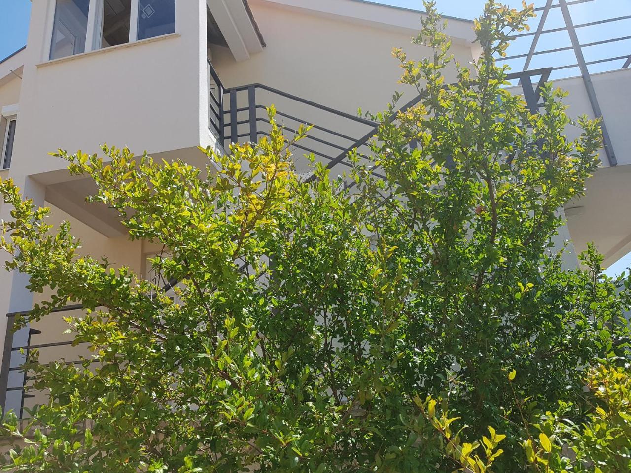 Apartments Maria Ivanica Exterior photo